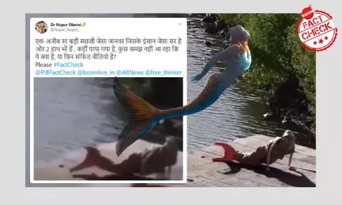 एनीमेशन वीडियो को जलपरी बता कर किया गया वायरल