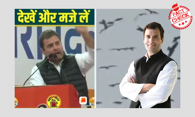 क्या राहुल गाँधी ने चीलों के बीच बेरोज़गारी कि बात की? नहीं, वीडियो फ़र्ज़ी है क्या राहुल गाँधी ने चीलों के बीच बेरोज़गारी कि बात की? नहीं, वीडियो फ़र्ज़ी है