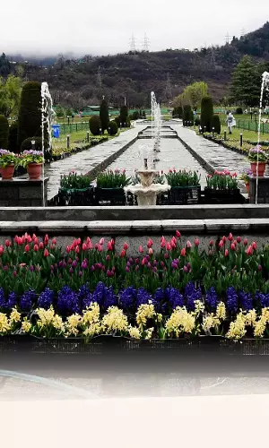 आज से खुल रहा कश्मीर का ट्यूलिप गार्डन, जानिए क्या हैं ख़ूबियाँ