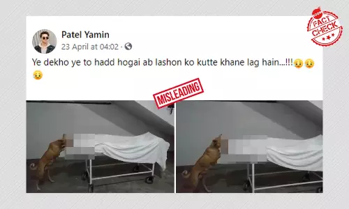 लाश को टटोलते कुत्ते का यह वीडियो वर्तमान की स्थिति नहीं दिखाता