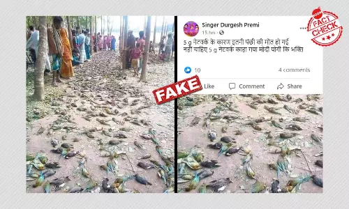 क्या इन पक्षियों की मौत का कारण 5G टेस्टिंग है? फ़ैक्ट चेक