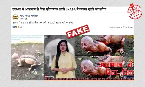 झारखंड के बाद अब बिहार में दिखा एलियन? जानिए वायरल वीडियो का सच