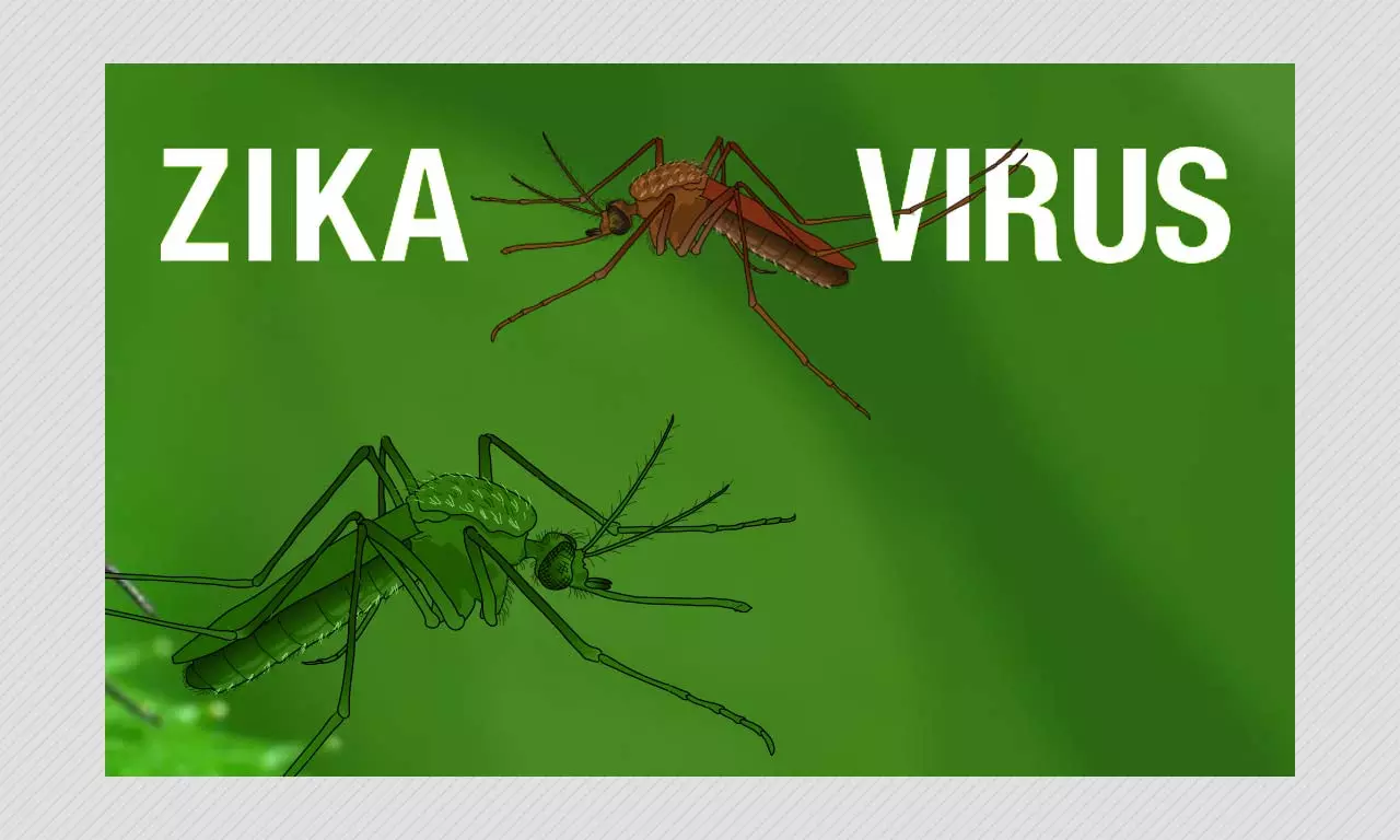 कोरोना महामारी के बीच नयी मुसीबत Zika वायरस