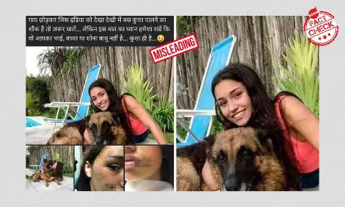 पालतू कुत्ते की लड़की को काटने की ये तस्वीर कहाँ से है?