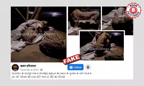 चीते को गले लगाकर सोते व्यक्ति का ये वीडियो असल में दक्षिण अफ्रीका से है