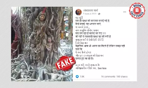 प्रयागराज में नाग वासुकि मन्दिर की मूर्ति के रूप में वायरल तस्वीर का सच क्या है?
