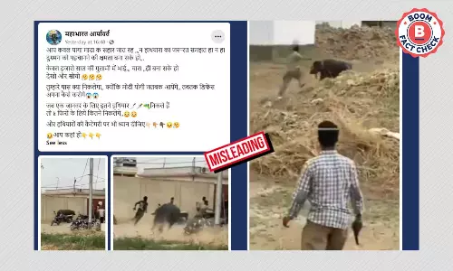 कराची में भैंसा को गोली मारने का वीडियो भारत के संदर्भ में शेयर किया गया