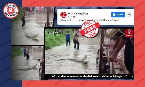 गुजरात का पुराना वीडियो पंजाब में मगरमच्छ दिखने के दावे से शेयर किया गया गुजरात का पुराना वीडियो पंजाब में मगरमच्छ दिखने के दावे से शेयर किया गया