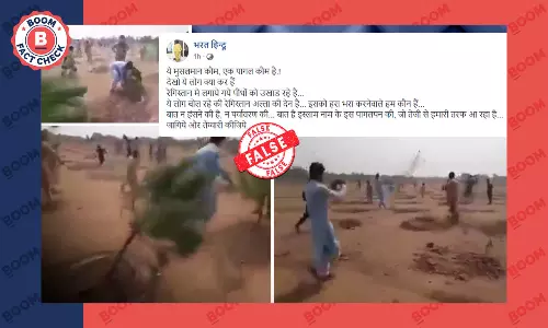 पौधों को उखाड़ने का पाकिस्तान का पुराना वीडियो झूठे इस्लामोफ़ोबिक दावे से वायरल