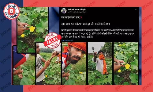 सब्जियों में इंजेक्शन लगाते लोगों को पकड़े जाने का यह वीडियो स्क्रिप्टेड है