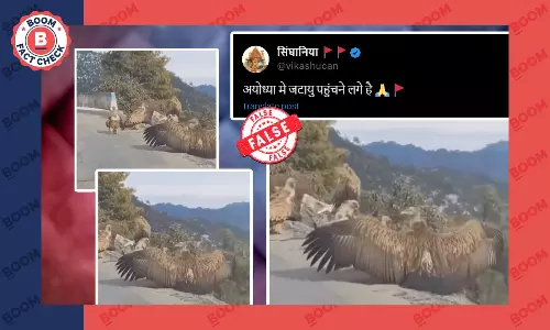 गिद्धों के समूह का पुराना वीडियो अयोध्या पहुंचने के झूठे दावे के साथ वायरल