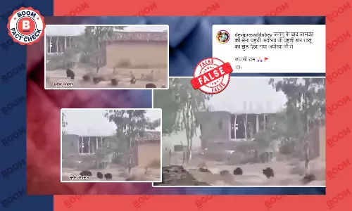 अयोध्या में जामवंत के आने के दावे से वायरल यह वीडियो असल में मध्यप्रदेश का है