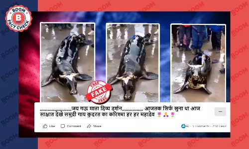 असली नहीं है समुद्री गाय का वायरल वीडियो, इसे AI की मदद से बनाया गया है
