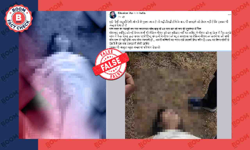 Punjab Nisha Soni murder case fact check