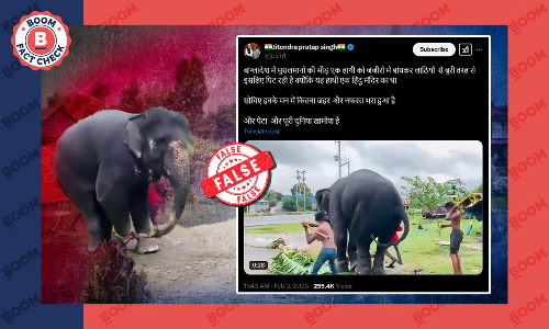बांग्लादेश में हाथी के साथ क्रूरता की घटना गलत सांप्रदायिक दावे से वायरल