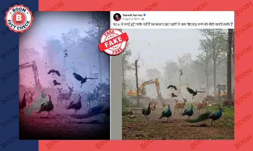 Fact Check on AI generated image viral protest against deforestation