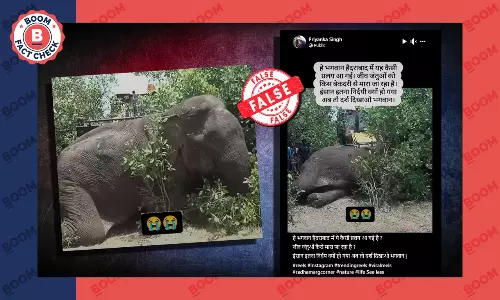 Elephant rescue with bulldozer old unrelated video shared as Hyderabad incident