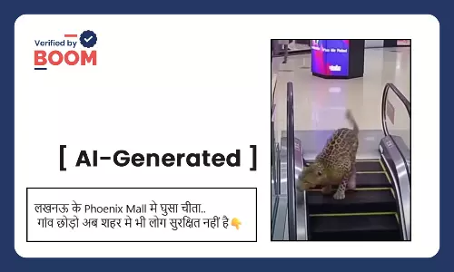 Fact Check on AI-generated video of a cheetah in a mall Fact Check on AI-generated video of a cheetah in a mall
