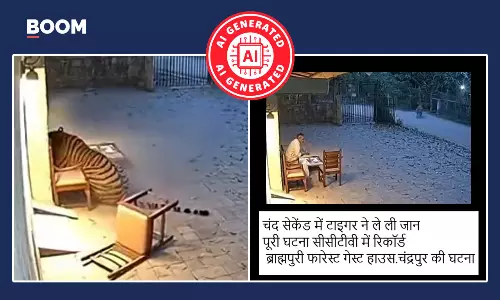 महाराष्ट्र के चंद्रपुर में शख्स पर बाघ के हमले का वायरल वीडियो AI जनरेटेड है महाराष्ट्र के चंद्रपुर में शख्स पर बाघ के हमले का वायरल वीडियो AI जनरेटेड है