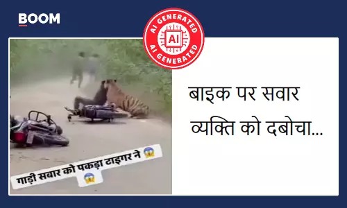 Viral video claiming a tiger attacks a man in Ranthambore is not real Viral video claiming a tiger attacks a man in Ranthambore is not real