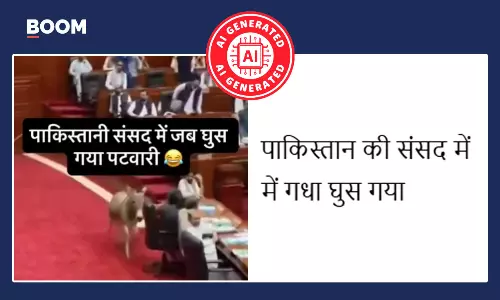 Fact Check on AI video of donkey in Pakistan Parliament