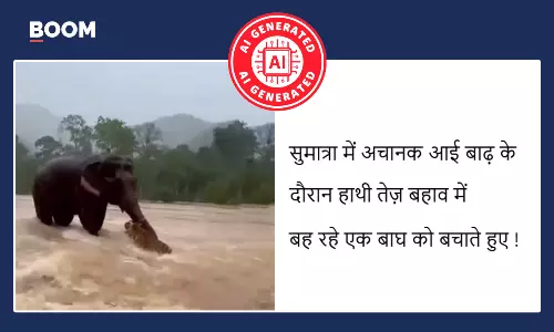 The video of an elephant rescuing a tiger during a flood is AI-generated