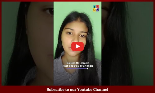 VIDEO: गुजरात में निर्माणाधीन इमारत में घूमते शेर का क्या है सच